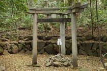 三つ鳥居の神社　京都の蚕の社　墨田区の三柱鳥居と三井家