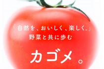 偉人の仕事術　カゴメ創業者　蟹江一太郎