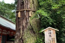 【木や石にも神性を観る日本】