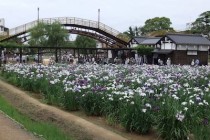 各地で進む電子図書館