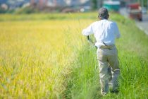 ニュースタンダードな兼業農家が日本の食を救う