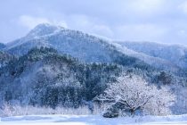 続けることの大切さ 〜斧から針を作ったお坊さんのお話〜